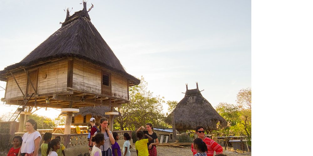 Timorese hut
